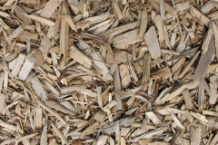 biomass boilers Botusfleming